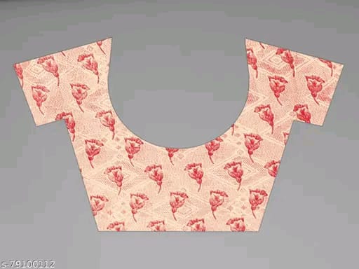 SM Women Chiffon Printed Saree