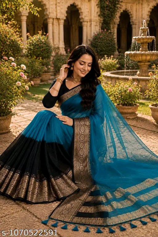 SM Women Organza Color blocked Saree
