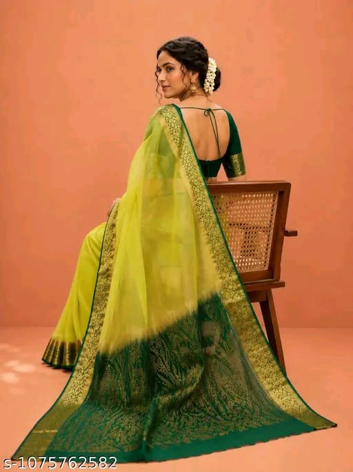 SM Women Organza Solid Saree