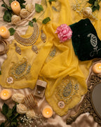 SM Maharani Pure Soft Shimmer Silk Saree with Hand Cutdana Moti Work and Velvet Blouse